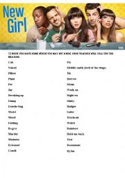 English Worksheet: New girl, season 1 ,episode 1 (listenig + describe the character + discussion)