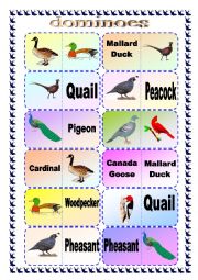 Bird Breed Domino Game