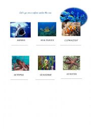 English Worksheet: Safari under the sea