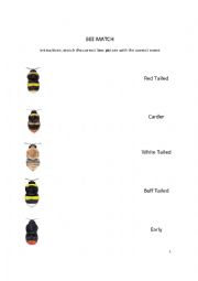 English Worksheet: Bee Match 