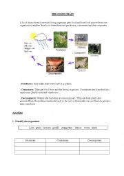 English Worksheet:  THE FOOD CHAIN