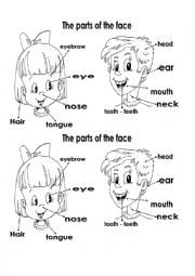 English Worksheet: The parts of the face