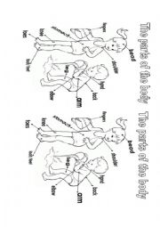 English Worksheet: Parts of the body