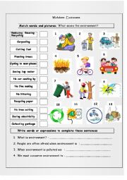 English Worksheet: environment conservation