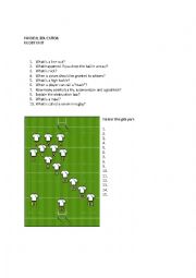 English Worksheet: Rugby Basics