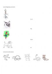 English Worksheet: Animals Vocabulary