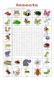 English Worksheet: INSECTS