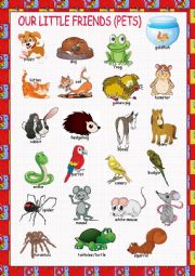 Pets Picture Dictionary