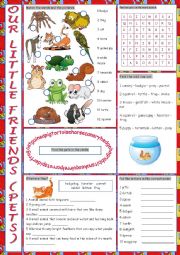 Pets Vocabulary Exercises