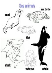 Sea Animals