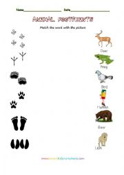 Animal footprints