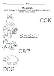 English Worksheet: The animals
