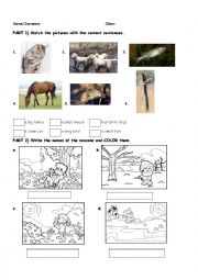 English Worksheet: animals,seasons,months,adjectives