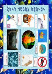 English Worksheet: IDIOMS: FISH