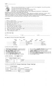 English Worksheet: Simple Present Practical Work