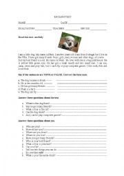 English Worksheet: a small dog