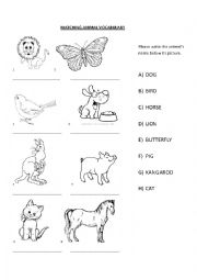 English Worksheet: Matching animal vocabulary