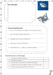 English Worksheet: Test