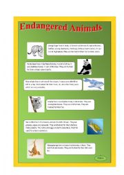 Endangered Animals