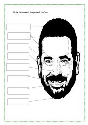 English Worksheet: parts of the face