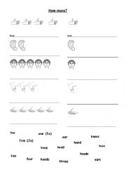 English Worksheet: bodyparts - plural s