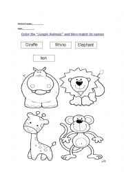 English Worksheet: jungle animals 