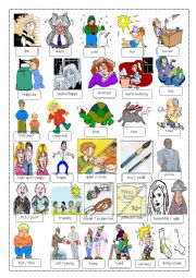 English Worksheet: adjectives