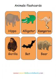 Animal flashcards 2