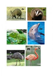 Animals A-Z (Page 01 - A-F)