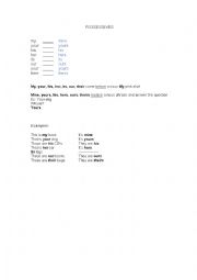 English Worksheet: Possessives