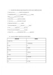 English Worksheet: Plural and Singular Forms