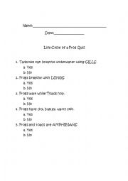 English Worksheet: Life Cycle of a Frog 