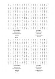 English Worksheet:  wordsearch