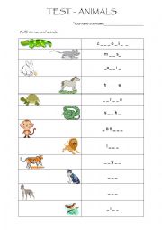 English Worksheet: Test - Animals