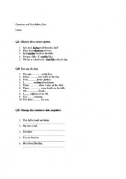 English Worksheet: Grammar and Vocabulary Quiz