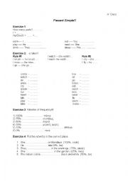English Worksheet: Simple Present Extensive Practice A class