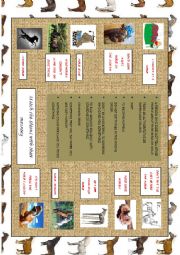 English Worksheet: IDIOMS: HORSES (worksheet)