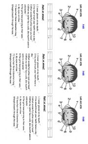 English Worksheet: Face vocabulary