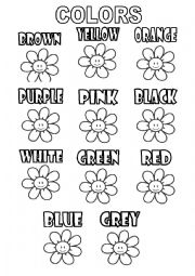 English Worksheet: Colors