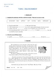 English Worksheet: Rainforest 