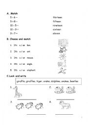 English Worksheet: number