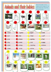 English Worksheet: Animals and their babies