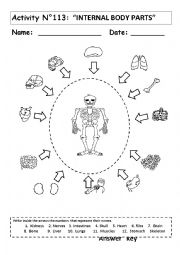 English Worksheet: INTERNAL BODY PARTS