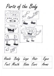 English Worksheet: parts of the body