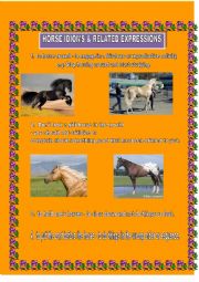 Horse Idioms & expressions