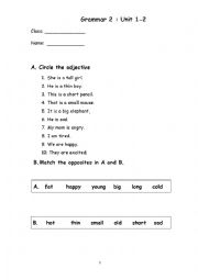 English Worksheet: grammar practice