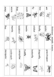 English Worksheet: Insect picture dictionary