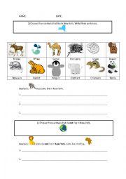 Animal Practice Worksheet