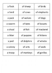 collective nouns for animals