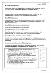 English Worksheet: What is a Sentence